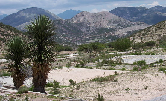 Image description
